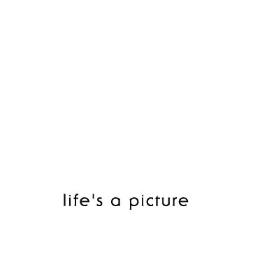 BA BOOTH | Life's a picture